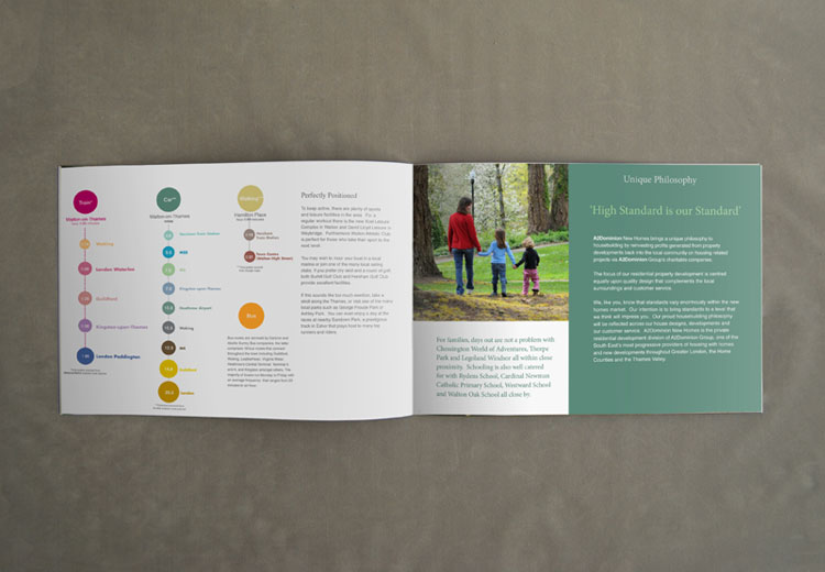 brochure and layout sample