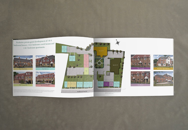 brochure and layout sample