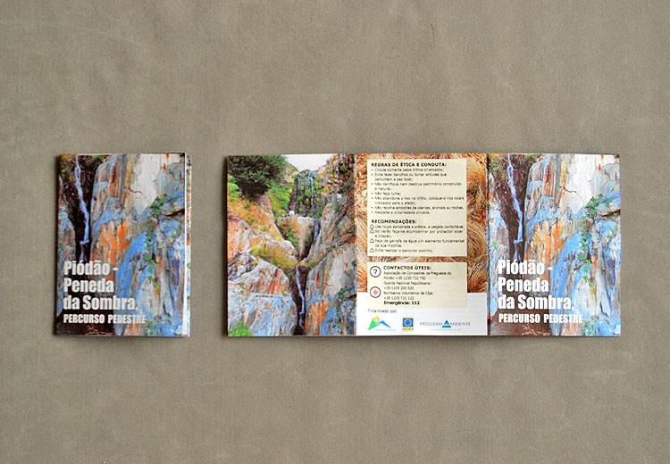 brochure and layout sample