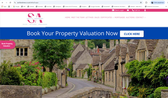 website sample